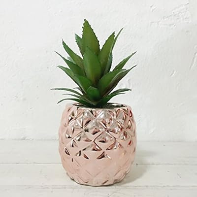 Porcelain Potted Artificial Succulent 7.8" Pineapple Ananas decoration Home Office Plant (Rose Go... | Amazon (US)
