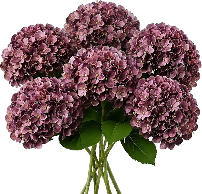 6pcs Artificial Hydrangea Flowers, 26" Tall Faux Hydrangea Stems with 7.5" Large Bloom Heads, for... | Amazon (US)