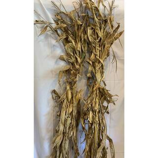 Sexton Farms Corn Stalk Bundle (Set of 2)-687051875469 - The Home Depot | The Home Depot