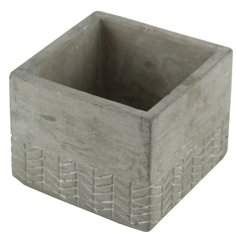 Rhona Concrete Pot Planter | Wayfair North America