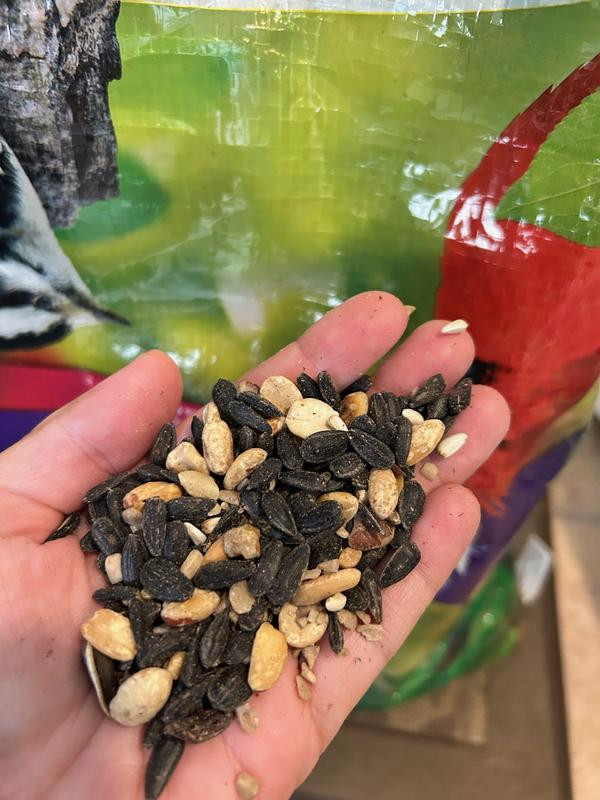 Kaytee Nut & Fruit Blend Wild Bird Food, 20-lb bag | Chewy.com