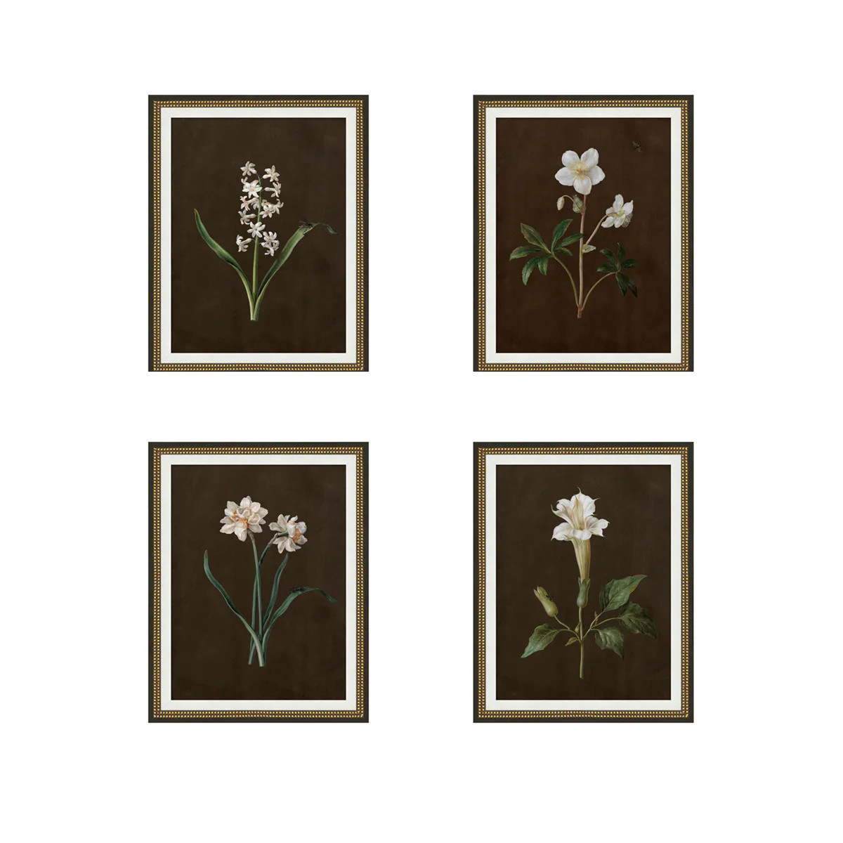 Floral Studies | Tuesday Made