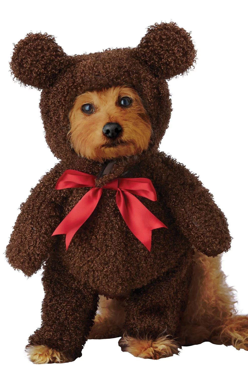 Sweet Teddy Bear Pet Costume | Walmart (US)