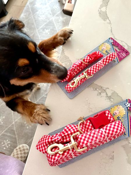 The cutest Doggy Parton dog collar and dog leashes from @walmart 😍🐶 #walmartpartner #walmartpets #walmarthome 

#LTKActive #LTKFamily #LTKxWalmart