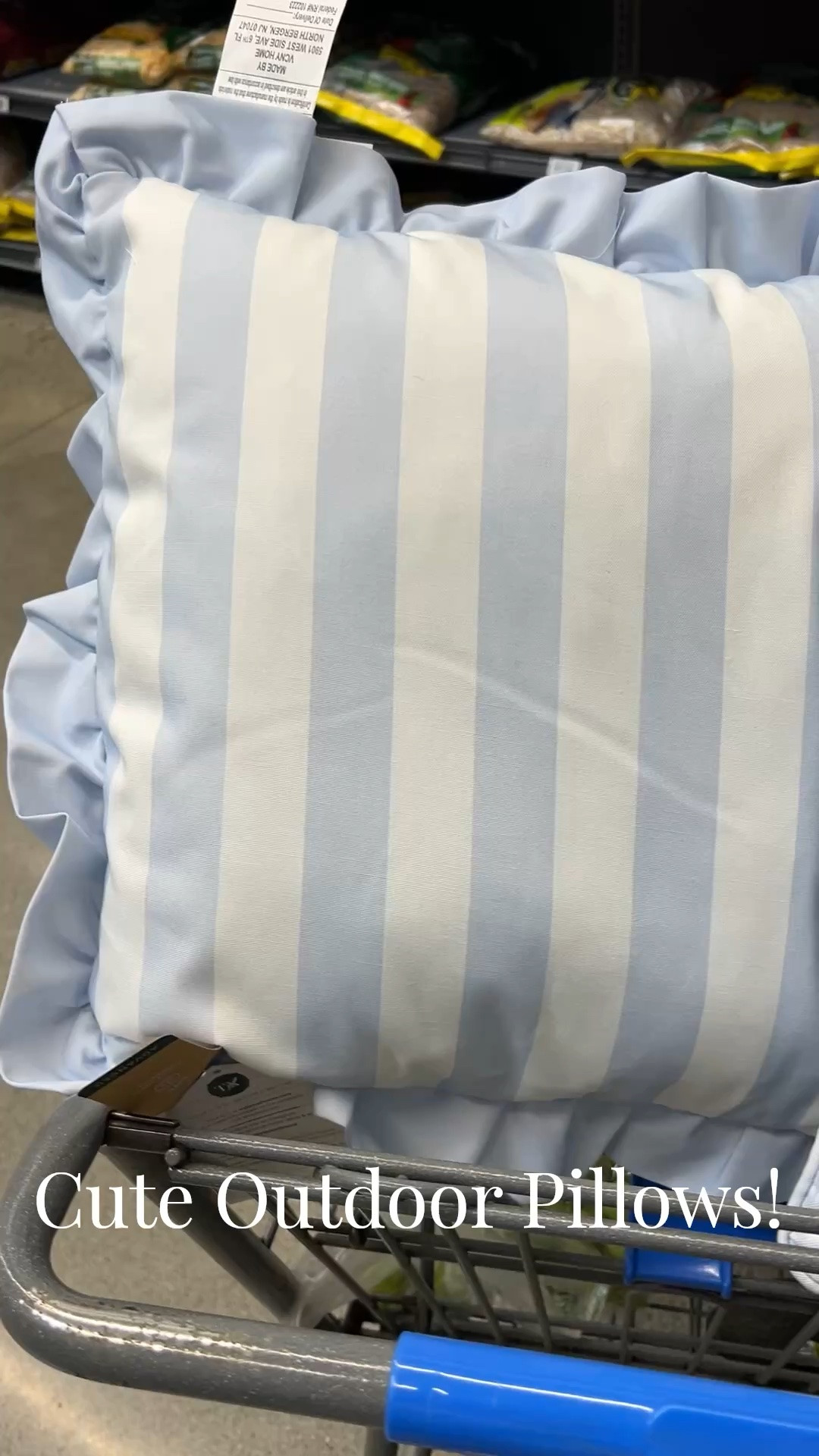 Cute Outdoor Pillows
#outdoorpillows #cutegardendecor #bluepillows #springpillows #backyarddecor