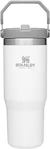 Stanley IceFlow Stainless Steel Tumbler with Straw, Vacuum Insulated Water Bottle for Home, Offic... | Amazon (US)