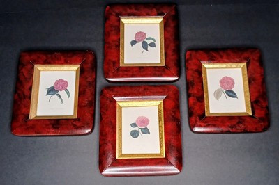 Antique Framed Prints Camellia Varieties Set of 4 Rare !! Shades of Pink / Green  | eBay | eBay US