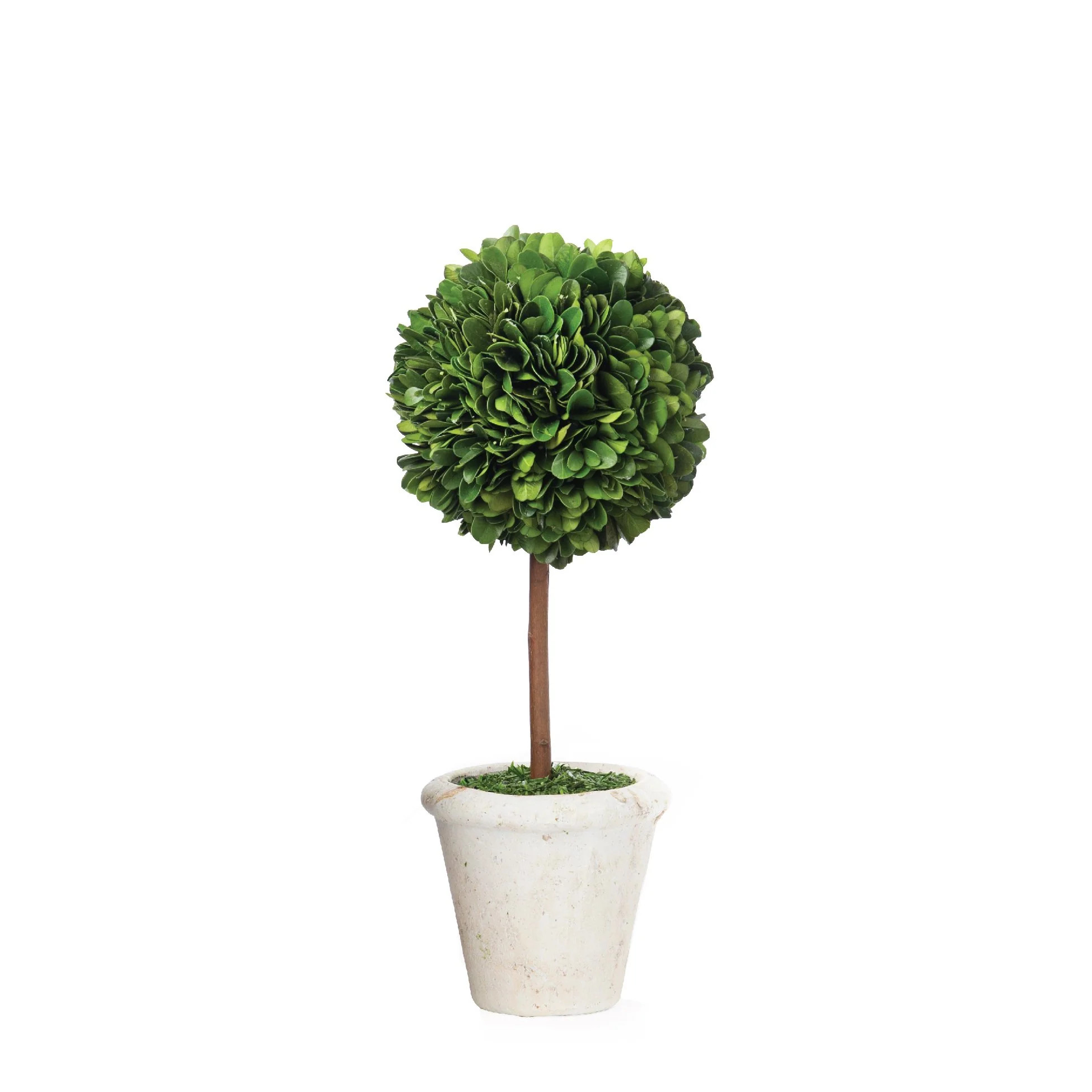 Mini Faux Boxwood Topiary | Caitlin Wilson | Caitlin Wilson Design