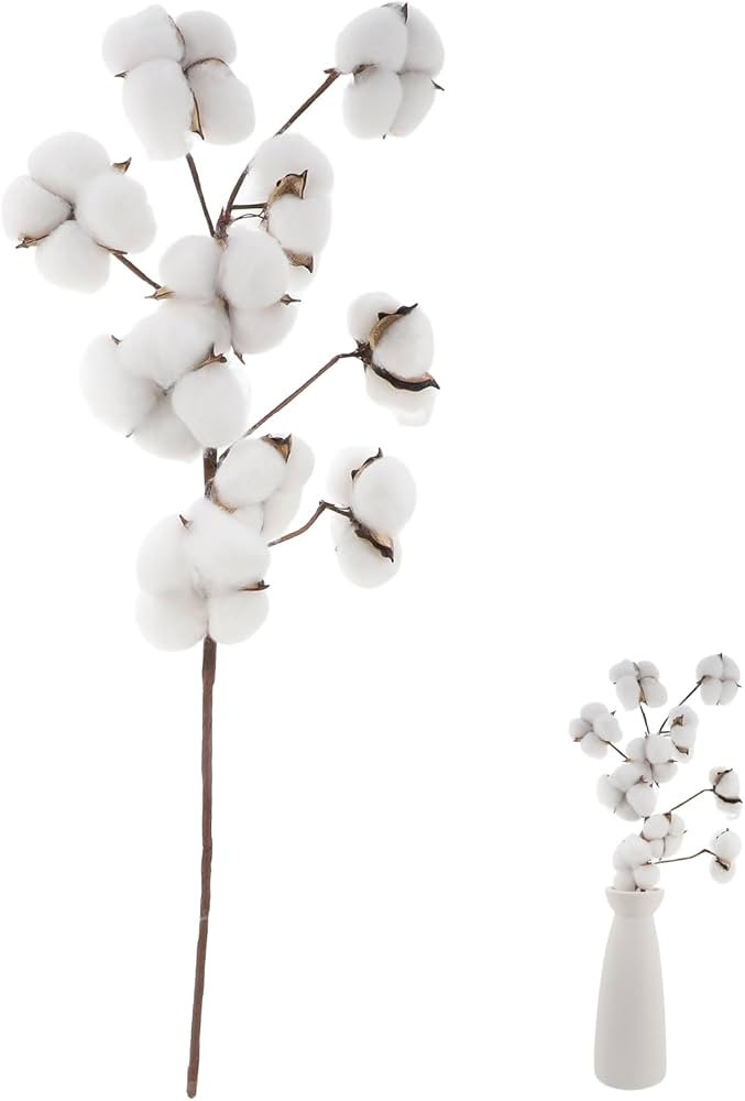 Ciieeo 1 Bunches 10 Cotton Balls Cotton Picks Cotton Stalks Faux Arrangements Wedding Bouquets Ho... | Amazon (US)