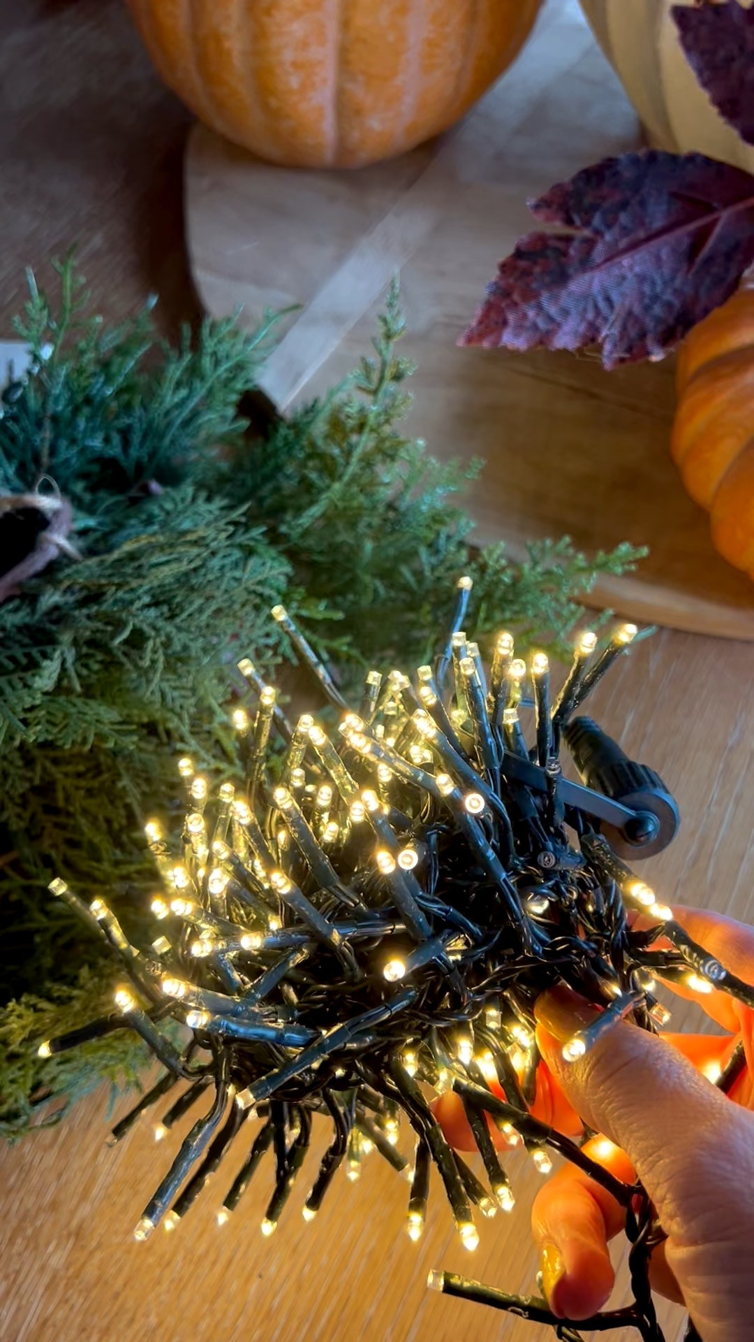 Twinkle lights 8 different modes 

#LTKFindsUnder50 #LTKHoliday #LTKSeasonal