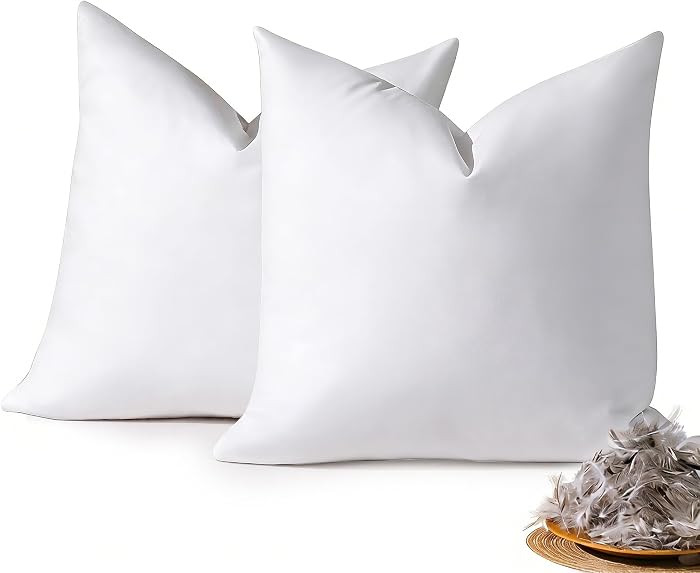 DOWNSTORIA 22x22 Feather Down Pillow Inserts Set of 2, Decorative Pillows with 100% Coton Cover, ... | Amazon (US)