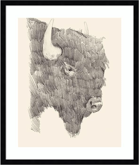 Amanti Art Framed Wall Art Print 25x21 Buffalo Sketch I by Jacob Green, Animals Wall Art, Rustic ... | Amazon (US)