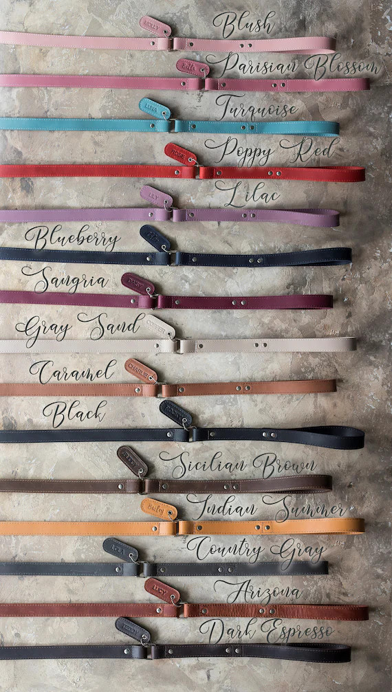 Personalized leather dog leash, personalized dog leash, leather personalized dog leash, leather d... | Etsy (US)