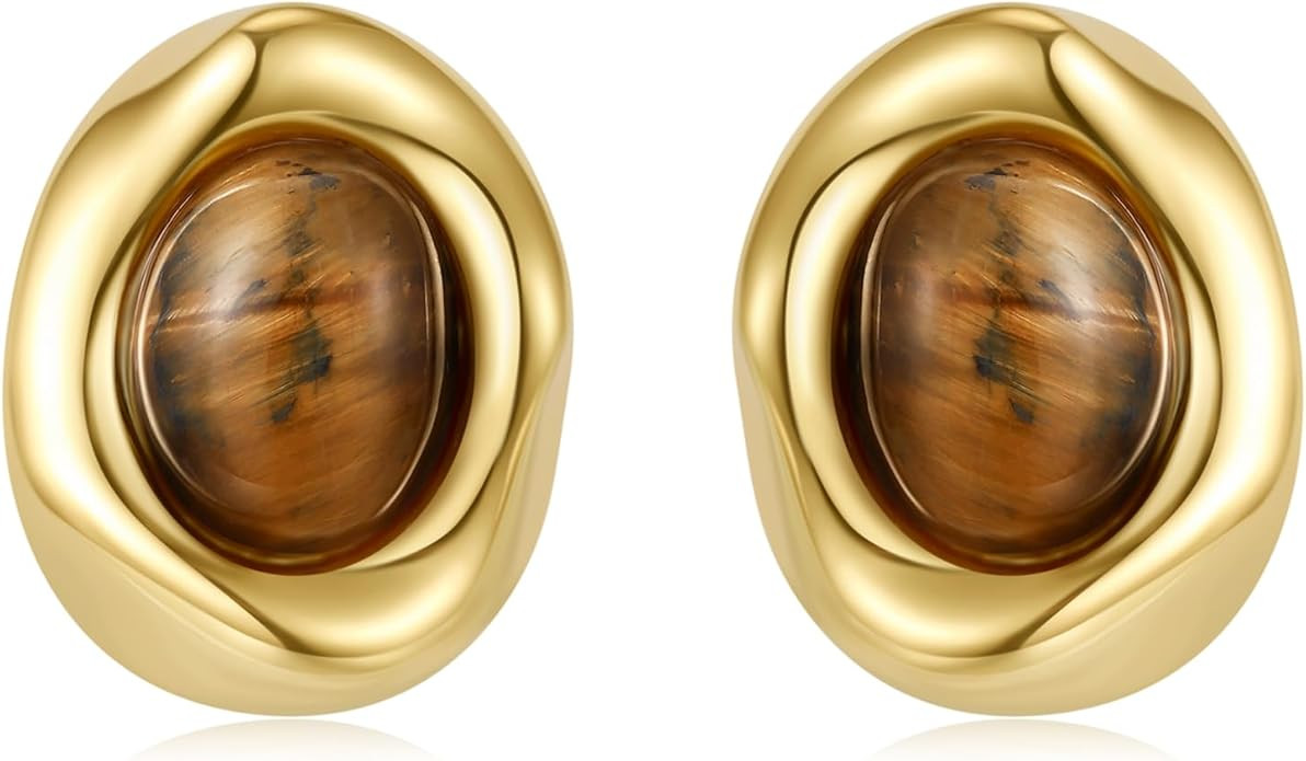 Brown Earrings Circle Chunky Earrings for Women Trendy 18K Gold Plated Stud Hoop Stainless Steel ... | Amazon (US)