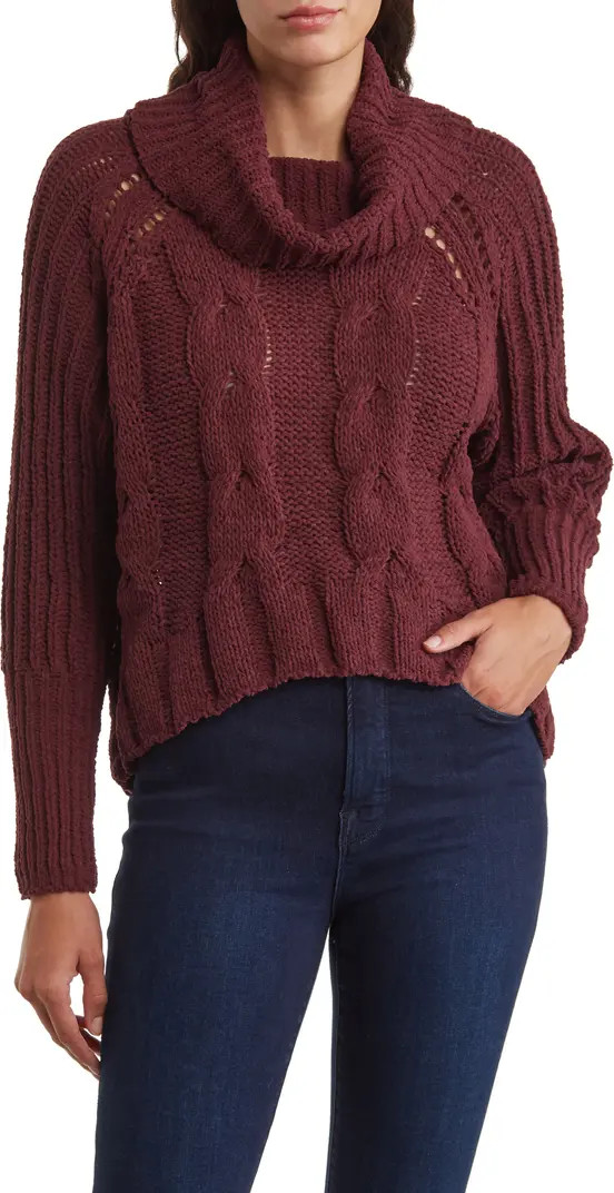 DR2 by Daniel Rainn Turtleneck Crop High-Low Sweater | Nordstromrack | Nordstrom Rack