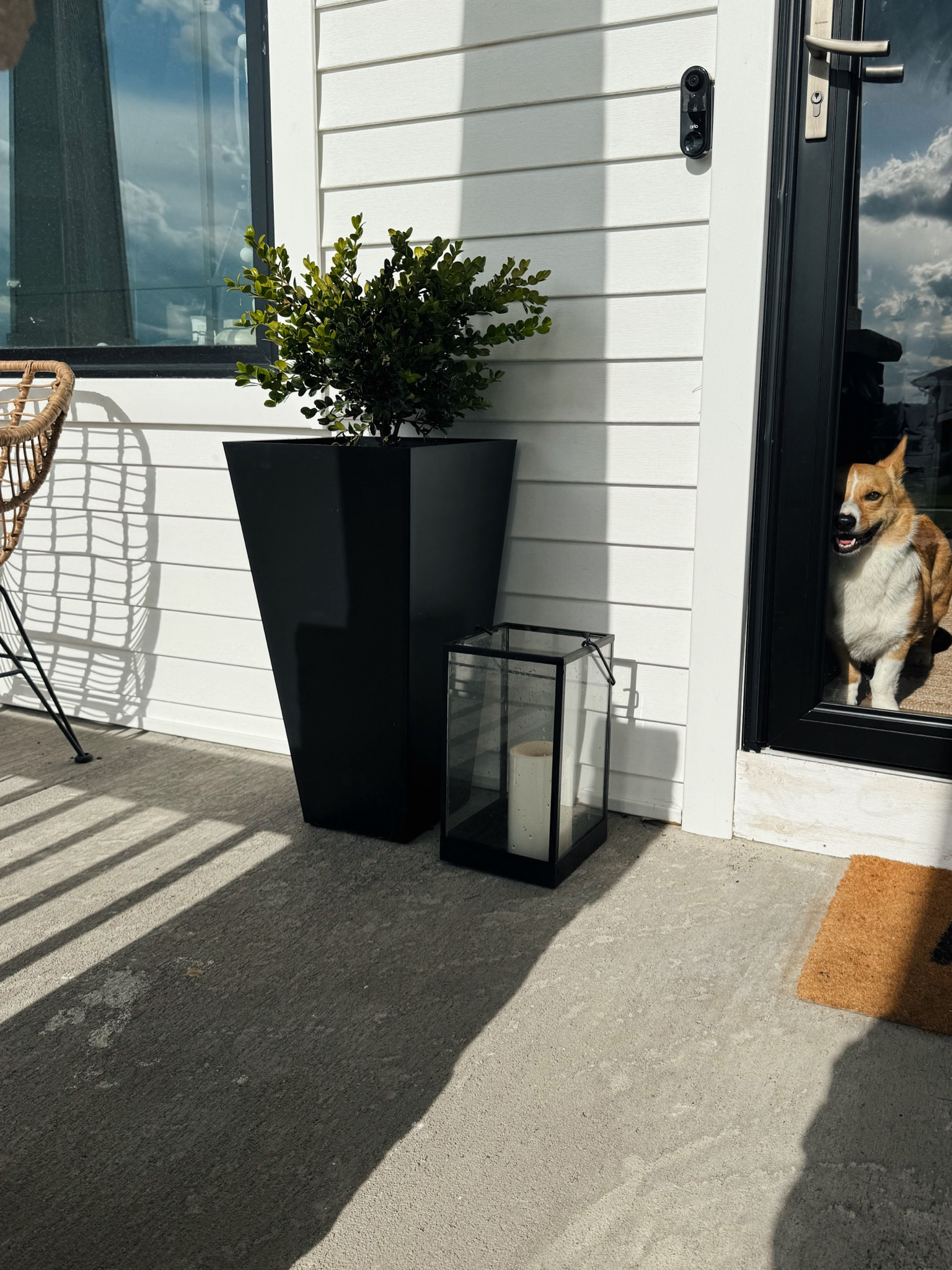 Amazing planter from Amazon! Comes with 2 and pre drilled! 

#LTKfindsunder100 #LTKSeasonal #LTKhome