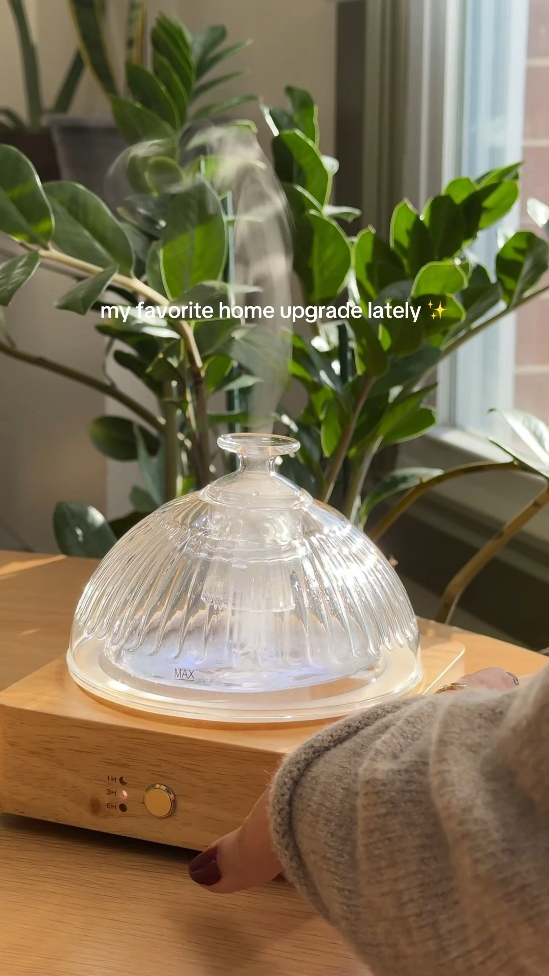 Finally a diffuser that matches the vibe 😍✨ #homedecor #homedecorfinds 

#LTKHome