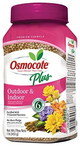 Osmocote Smart-Release Plant Food Plus Outdoor & Indoor, 1 lb. | Amazon (US)