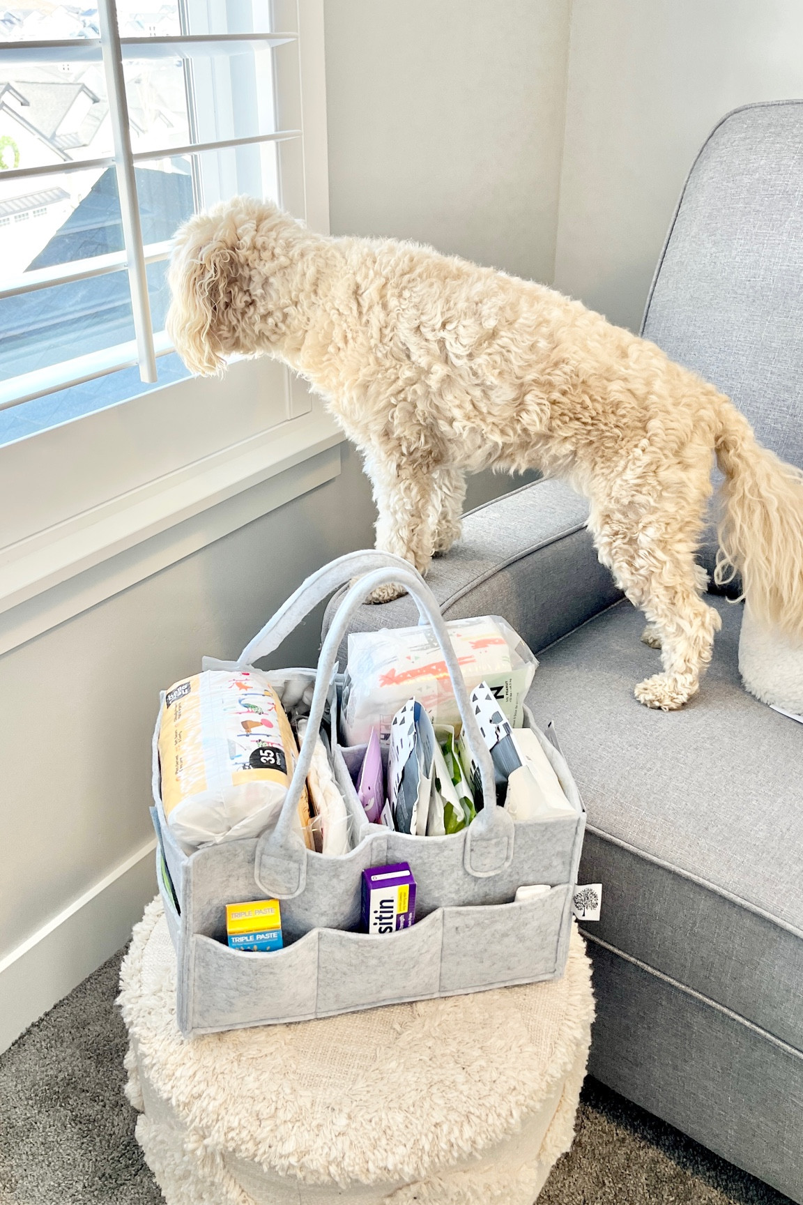 Neutral nursery decor and baby care essentials

Diaper bag, glider, rug, nursery decor, diapers, diaper rash, cream, natural, diapers, diaper, caddy, baby wipes

#LTKkids #LTKbump #LTKbaby