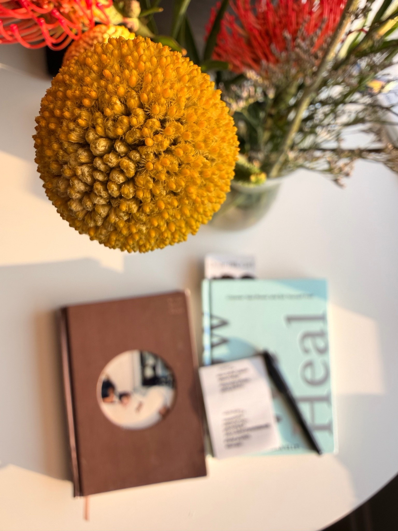 My morning view ☕️✨

#LTKdayinmylife #LTKmorningroutine #LTKselfcare