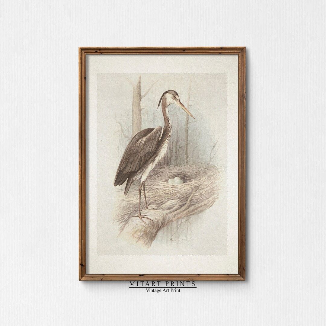 Great Blue Heron Print, Antique Bird Art Painting, Country Farmhouse Print, Vintage Bird Print, N... | Etsy (US)