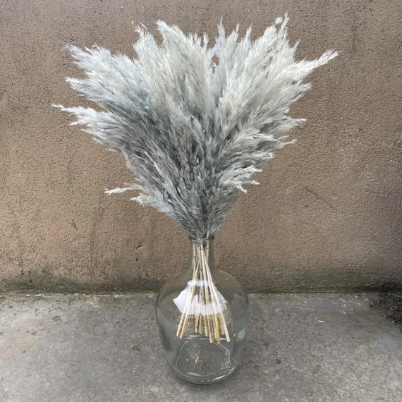10 Pcs Extra Large Gray Grey Dried Pampas Grass Bouquet - Etsy | Etsy (US)