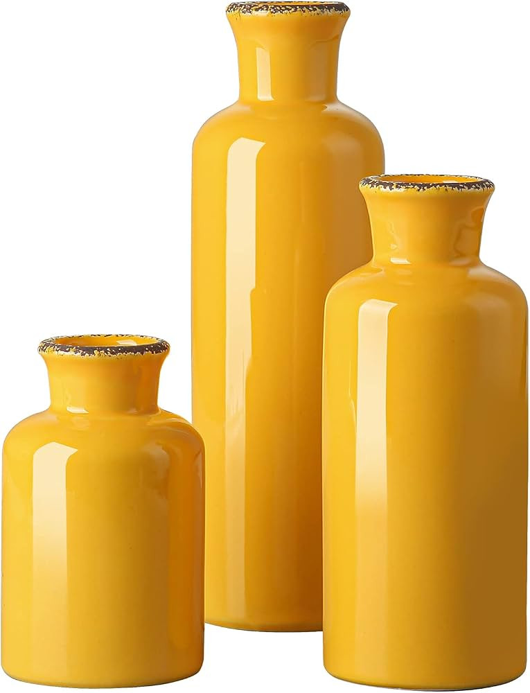 CwlwGO- Ceramic Vase Set,Set of 3 Small Vases, Modern Decorative vase,Suitable for Shelf Decor,Fireplaces Decor,Bookshelf, Living Room Table Décor,Fireplace & Entrance Decor。…… | Amazon (US)