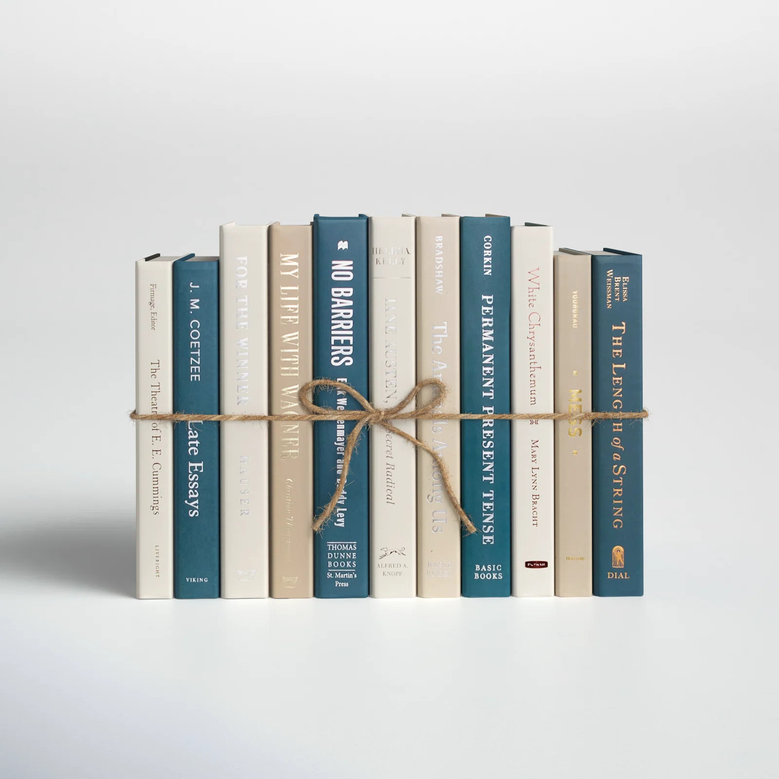 Serefina Entertainment Decorative Book | Wayfair North America