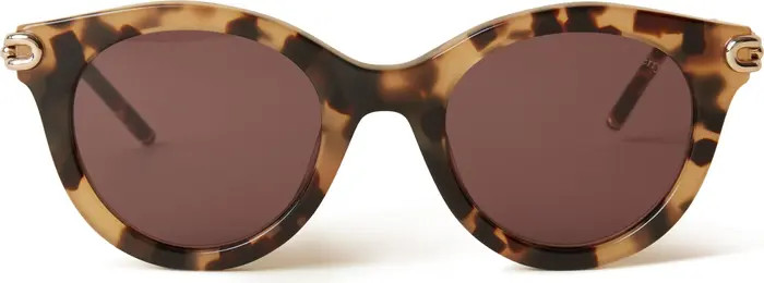 Penny Acetate Sunglasses | Nordstrom