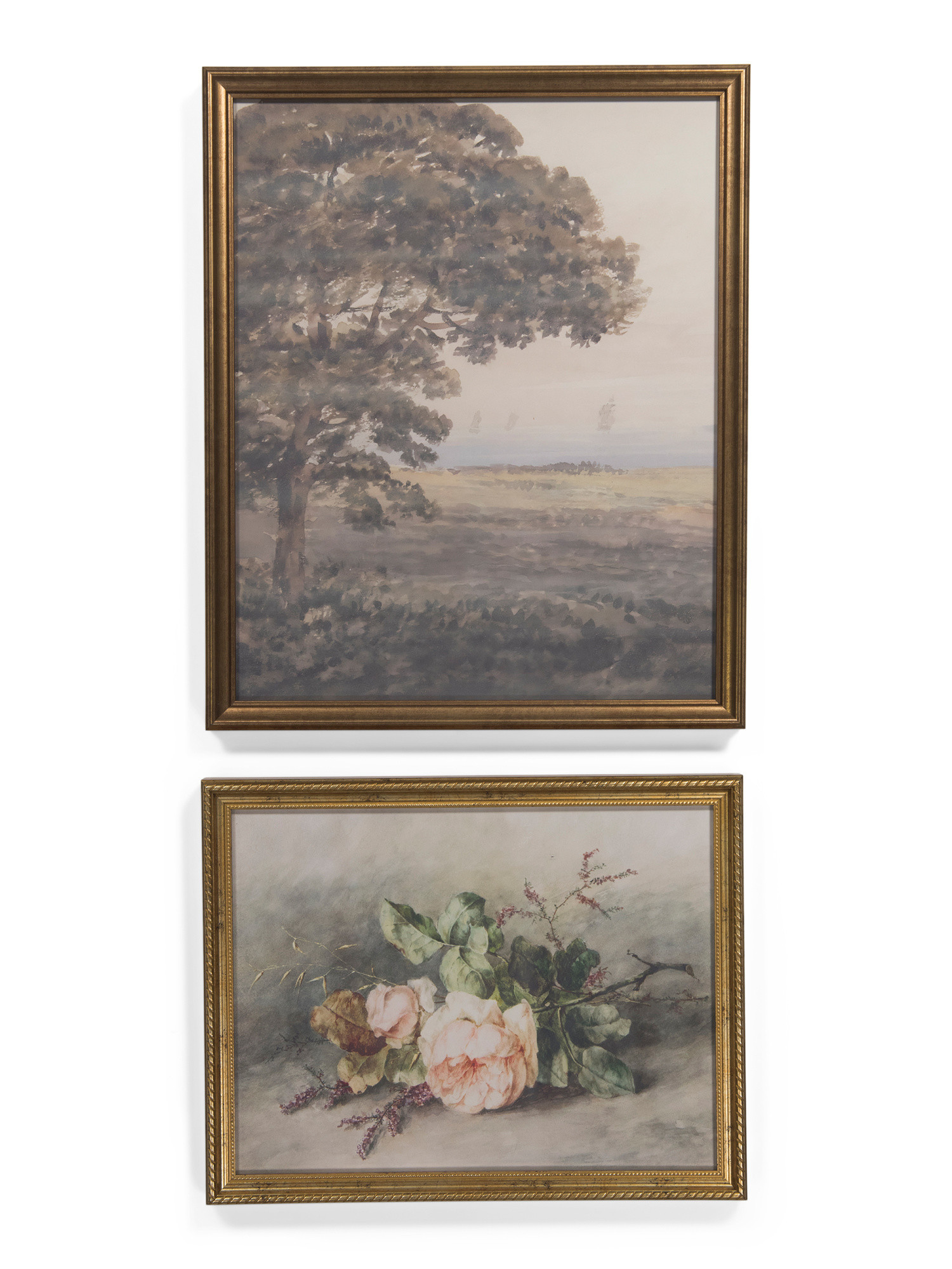 2pk Quiet Meadow Roses Wall Art | TJ Maxx