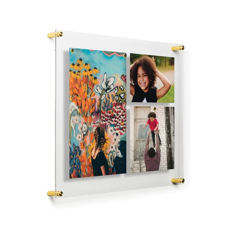 21" x 27" Single Panel Acrylic Floating Picture Frame | Wayfair North America