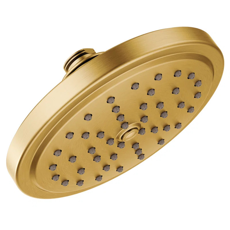 S176BG Fina Premium Rain Shower Head | Wayfair North America