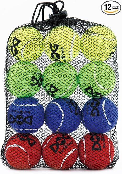 INSUM Tennis Balls for Dogs - 12 Pack 2.0'' Durable Non-Toxic Outdoor Dog Toys Balls with Mesh Ba... | Amazon (US)
