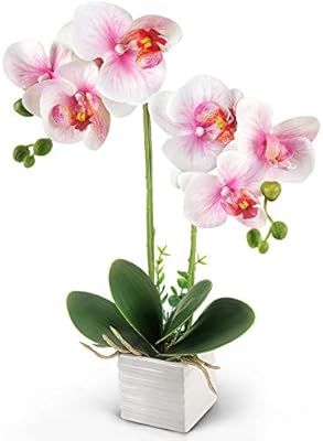 YOBANSA Orchid Bonsai Artificial Flowers with Imitation Porcelain Flower Pots Phalaenopsis Fake F... | Amazon (US)