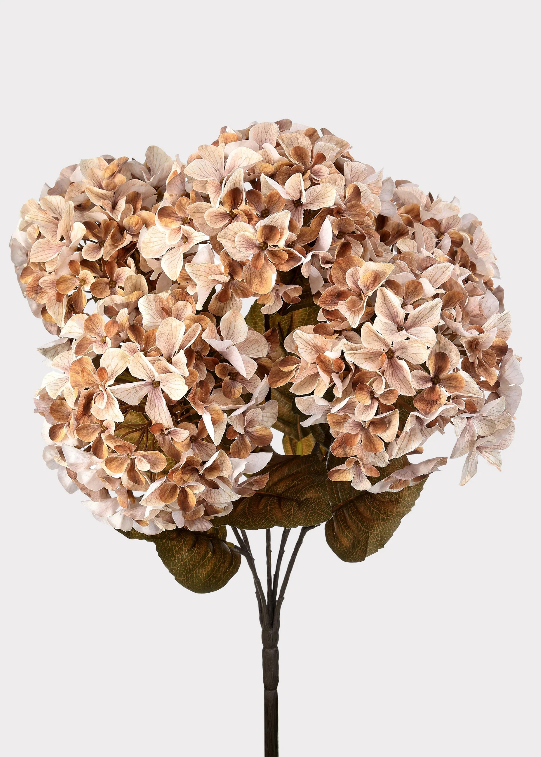 Cream and Brown Fall Hydrangea Bush | Fake Autumn Flowers | Afloral | Afloral