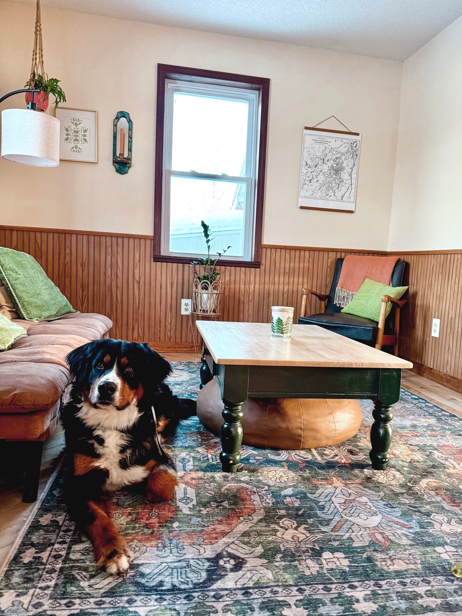 A cutie 🥰

Linked what I could from our den🤎

#LTKSeasonal #LTKmomlife #LTKHome