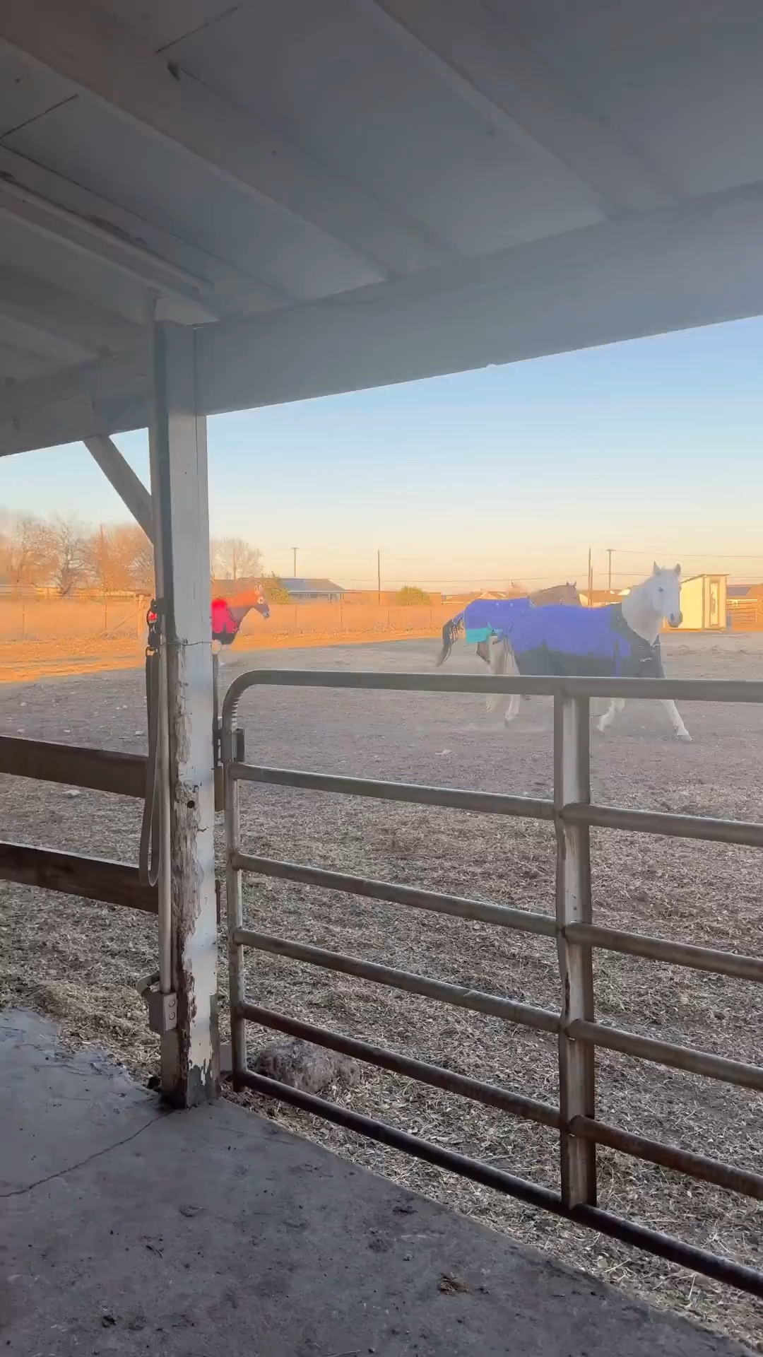 #LTKFamily #LTKWatchNow