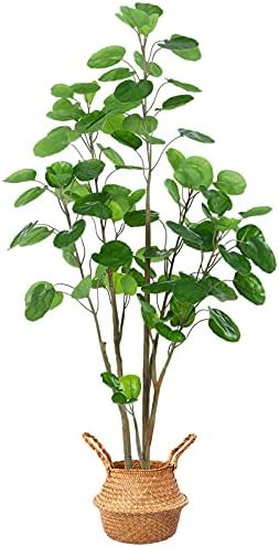 Kazeila Artificial Aralia Balfour Tree,Fake Greenery Plant,Come with Woven Seagrass Belly Basket,Ind | Amazon (US)