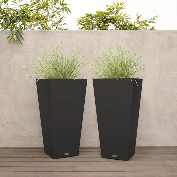 Plastic Pot Planter | Wayfair Professional