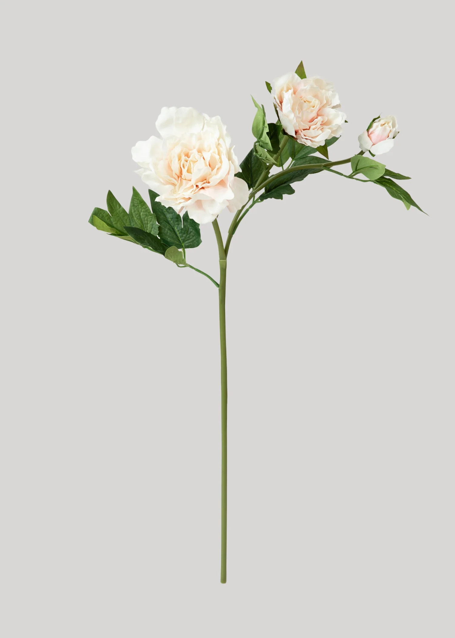 Soft Pink Real Touch Peony | Nature-Inspired Faux Flowers | Afloral | Afloral