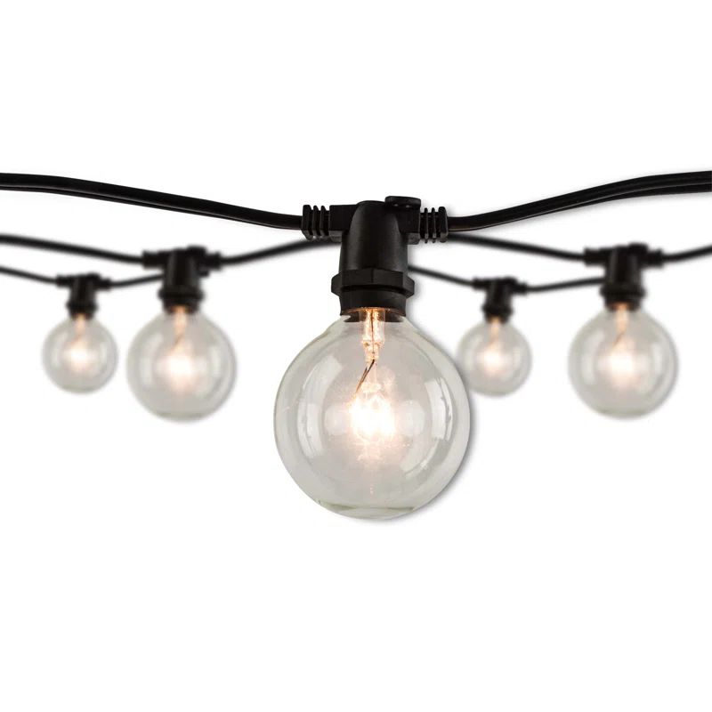 14 ft, 10-Socket Decorative String Light Kit with Clear Incandescent Globe (G16) Bulbs | Wayfair North America