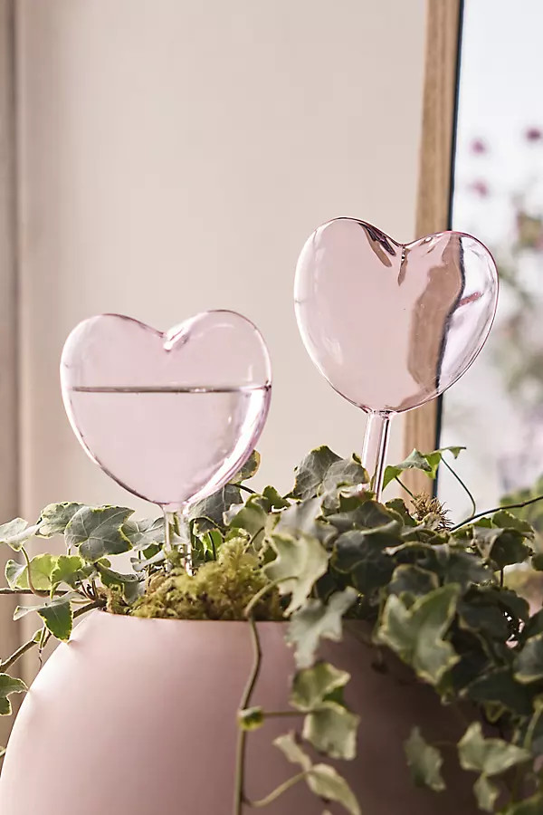 Heart Watering Globes, Set of 2 | Anthropologie (US)