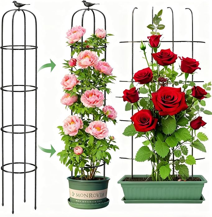 6.2ft Garden Obelisk Trellis for Climbing Plants Rustproof Metal Pipe with Heavy Duty Plastic Coa... | Amazon (US)