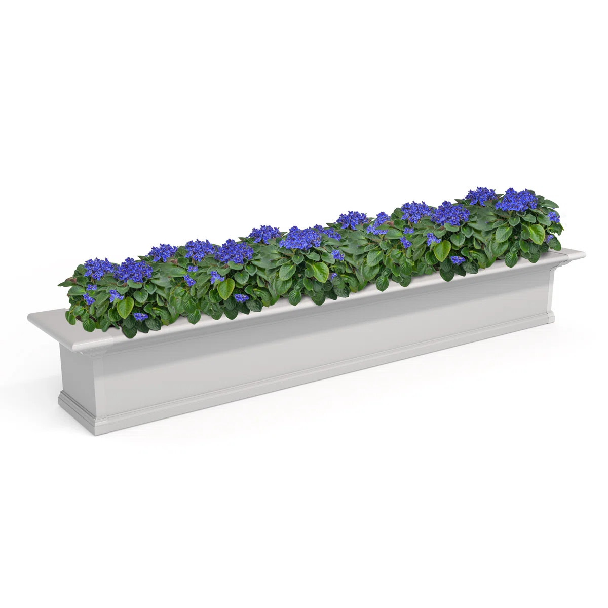 Charlton Home Anand Resin Window Box with Water Reservoir & Reviews - Wayfair Canada | Wayfair North America
