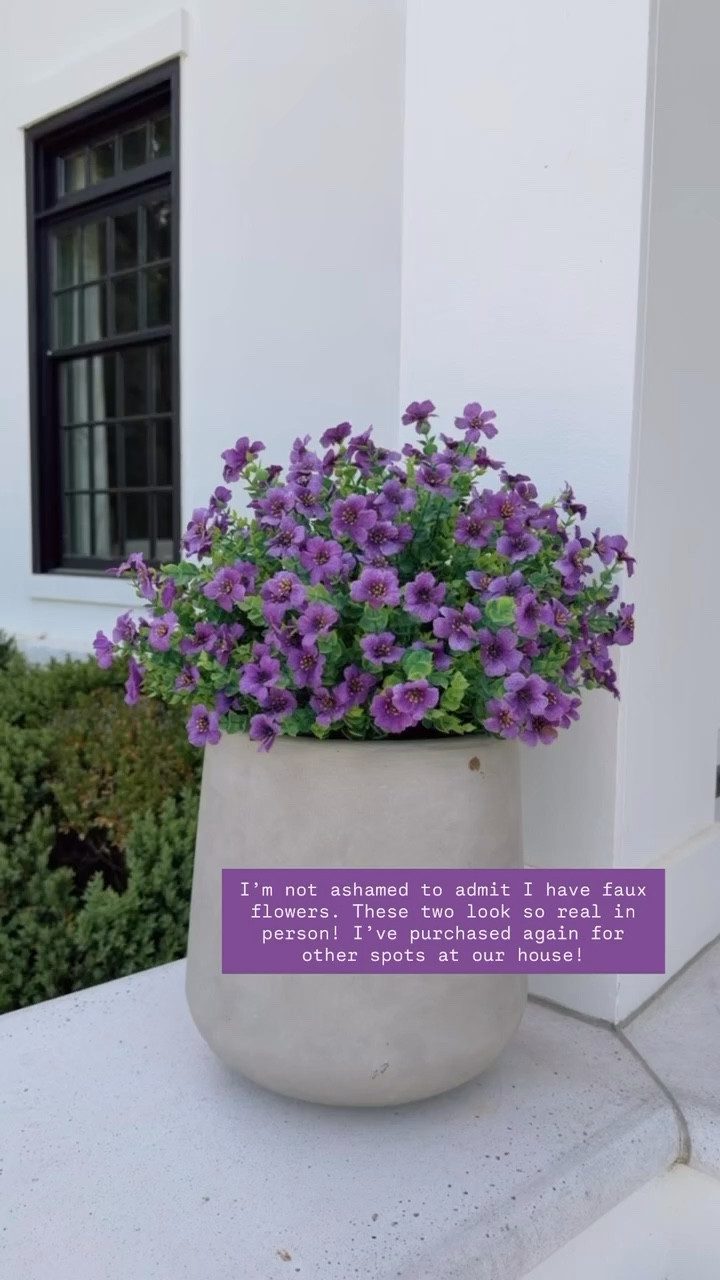 These faux flowers are so good! 👏🏼 perfect for all seasons!

Loverly Grey, faux flowers, Amazon find, outdoor home decor, patio decor 

#LTKHome