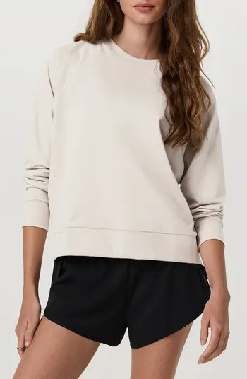 Long Sleeve Halo Crew Sweatshirt | Nordstrom