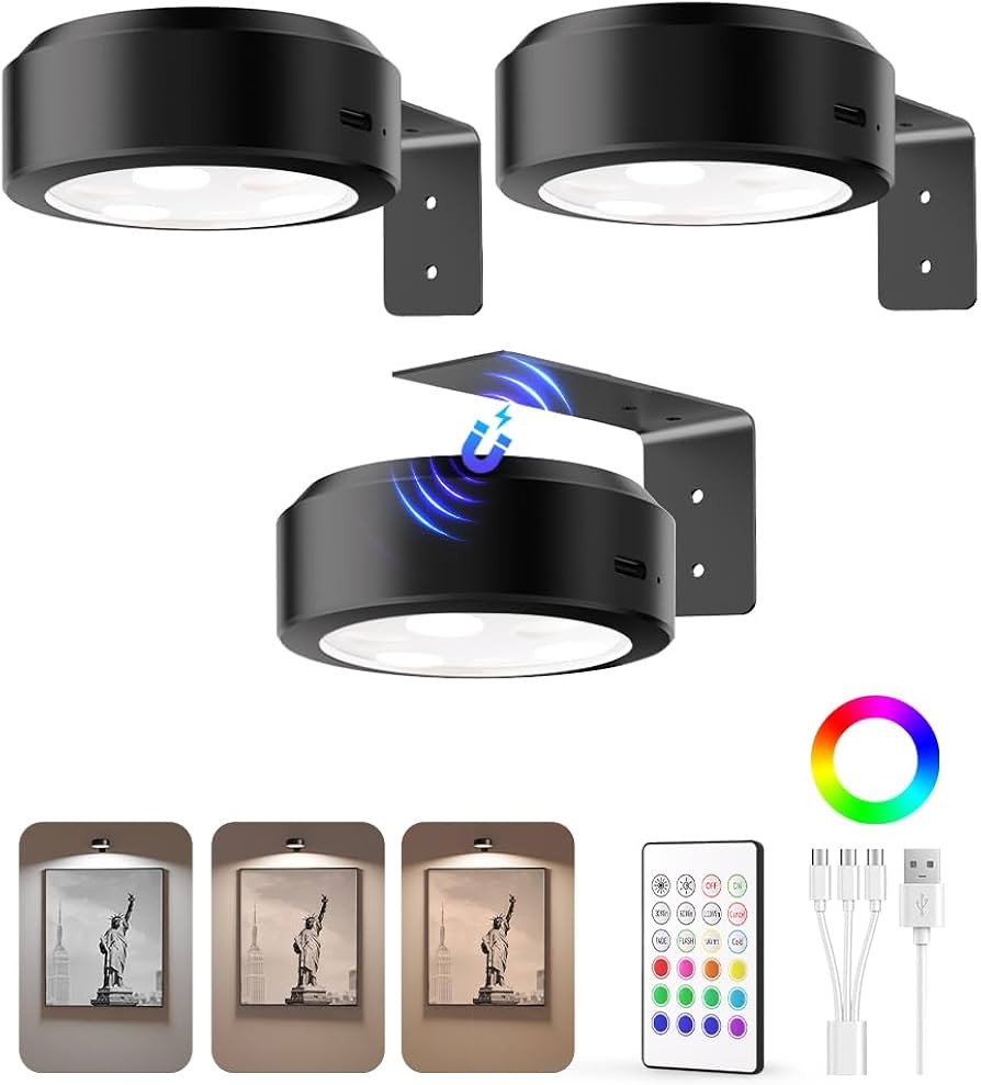 EZVALO Picture Lights for Wall, 2000mAh Rechargeable Battery Magnetic Poster Lights with 3 Color ... | Amazon (US)