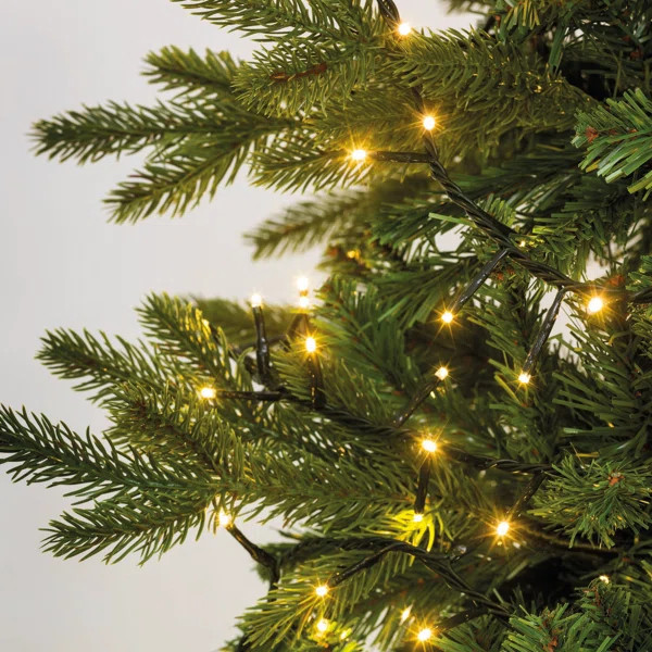 Compact Twinkle String Lights | Wayfair North America