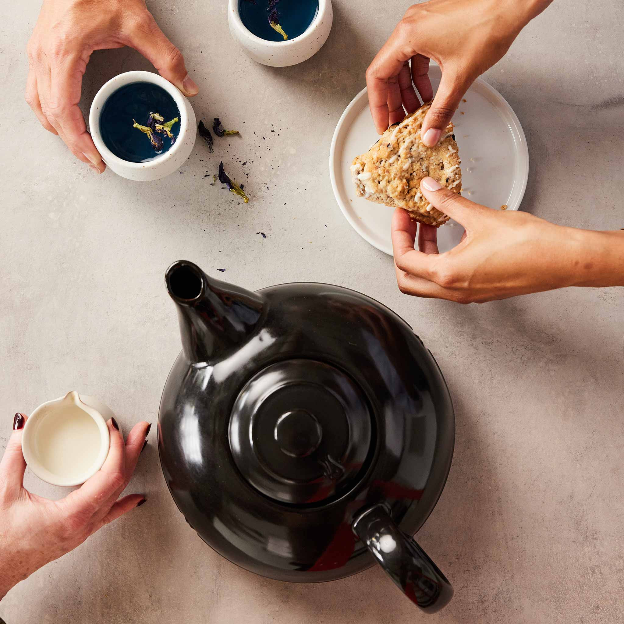 Ceramic 2-Quart Asiana Tea Kettle | Xtrema Teaware | Xtrema Cookware