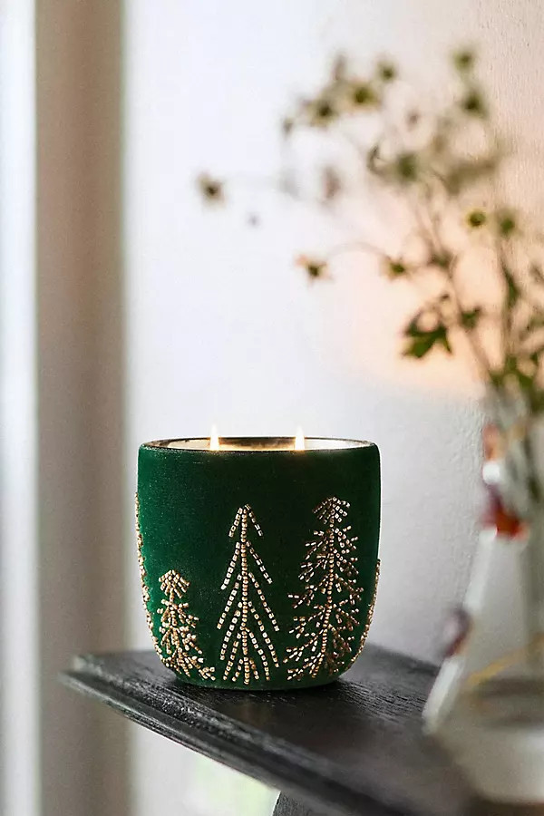 Velvet Forest Woody Juniper & Cedar Glass Candle | Anthropologie (US)